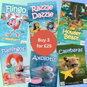 The FictFact Books Bundle